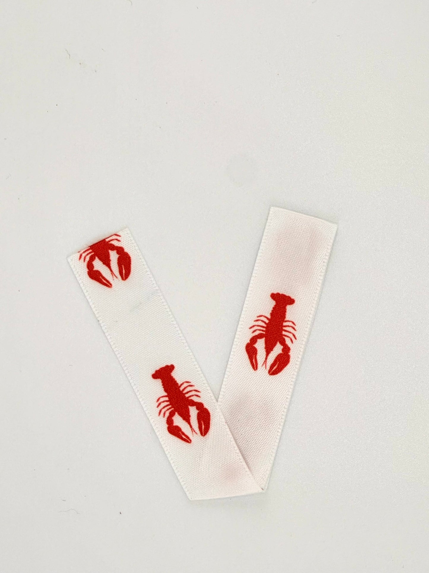 Red Lobster on White