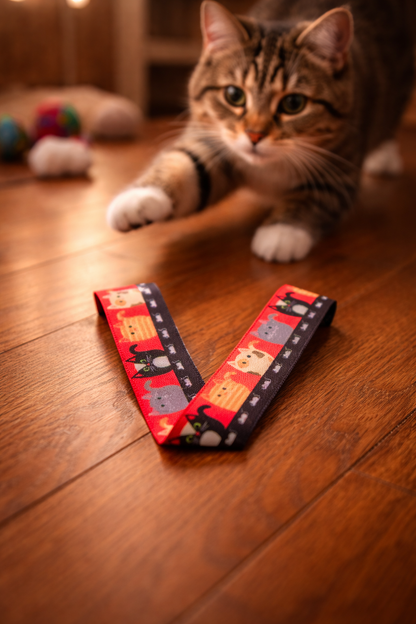 Cat and Mouse