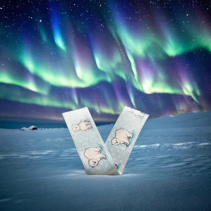 Polar Bears